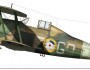 Gladiator Mk II, N2287, 3 Sqn, Jijiga, Ethiopia, April 1941.