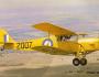 DH-87B Hornet Moth 2007 during 2004 in it's training scheme colours.