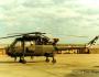 Wasp 93 at AFB Ysterplaat in 1991.