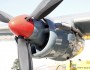 Starboard no 4 engine of Shackleton 1722 of the SAAF Museum in May 2012.